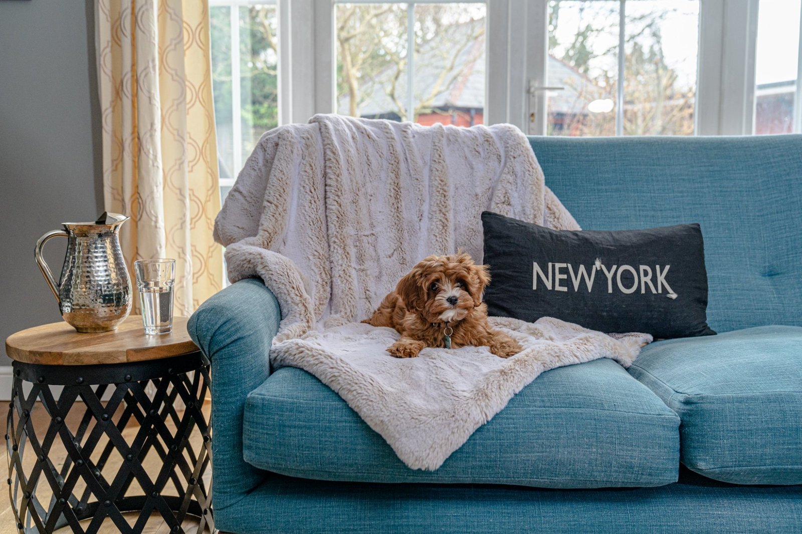 Cavapoo puppy lying on the Dudley and Co Oscar luxury dog blanket — luxury British dog accessories
